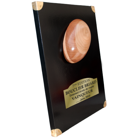 BOUCLIER PRESTIGE BALLON RELIEF