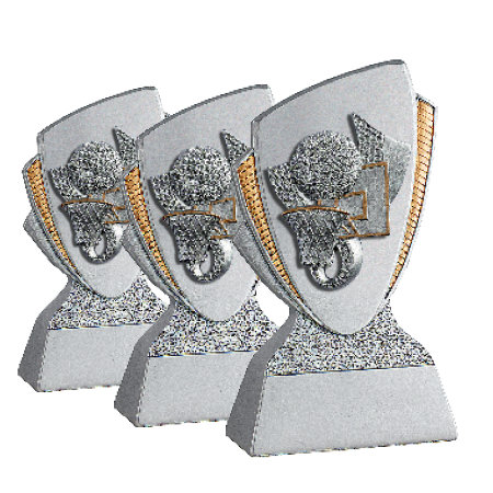 TROPHEE BASKET EN LOT