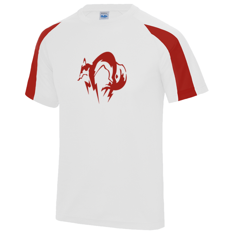 Personnalisation-Tshirt1