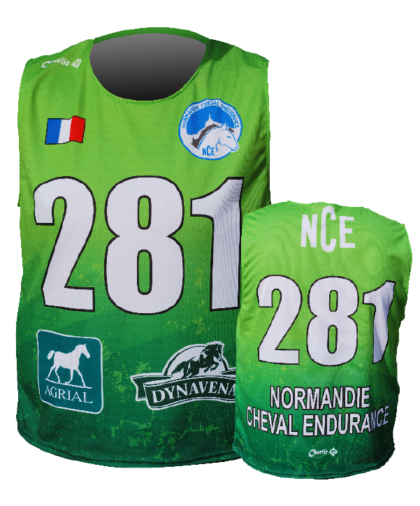 Polo-Equestre-3