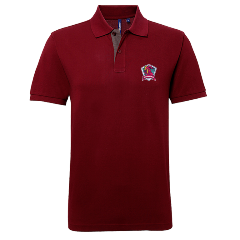 Polo-Esports2