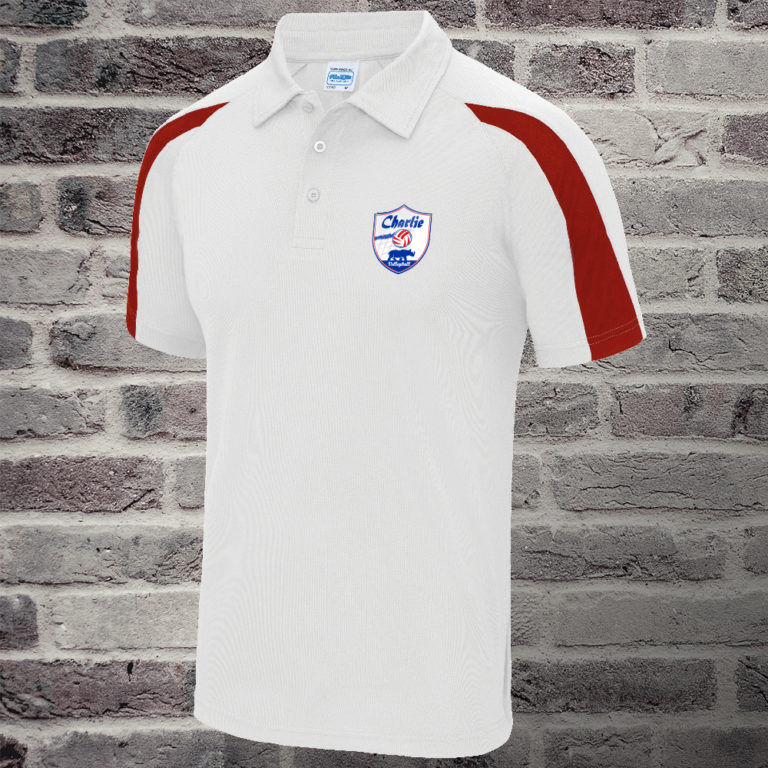 Polo-Volley3