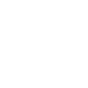 Lien